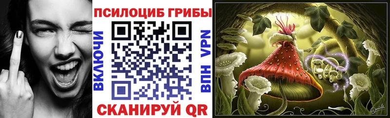 мега рабочий сайт Ленинградская Псилоцибиновые грибы Magic Shrooms